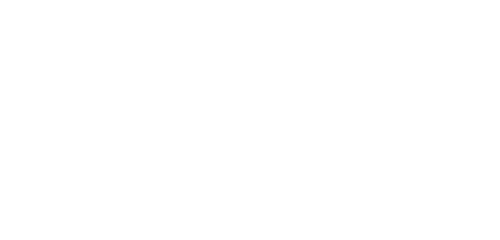 White Denon logo