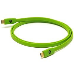Oyaide Neo D+ USB Type C to C Class-B Cable (2m)