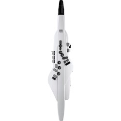 Roland AE20 Aerophone Digital Wind Instrument (White)