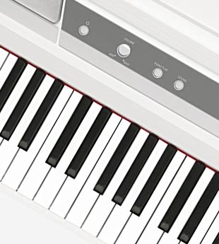 Performance Keyboards / Pianos