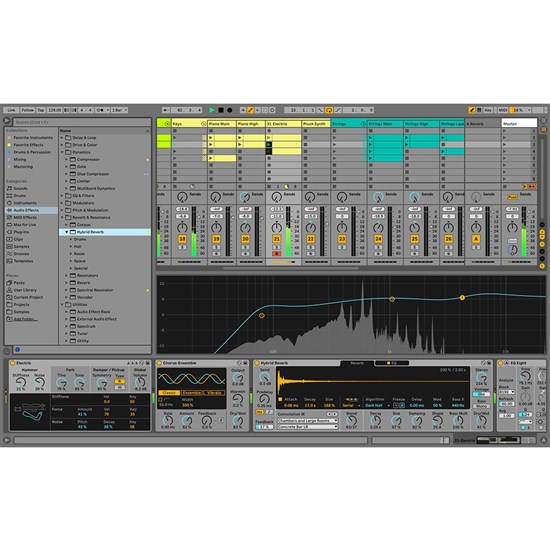 Ableton Live 11 Suite Upgrade from Live Lite w/ free Live 12 Upgrade (Download Code Only)