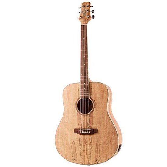 Ashton D26EQ SPM Acoustic Guitar w/ Pickup (Spalted Maple)