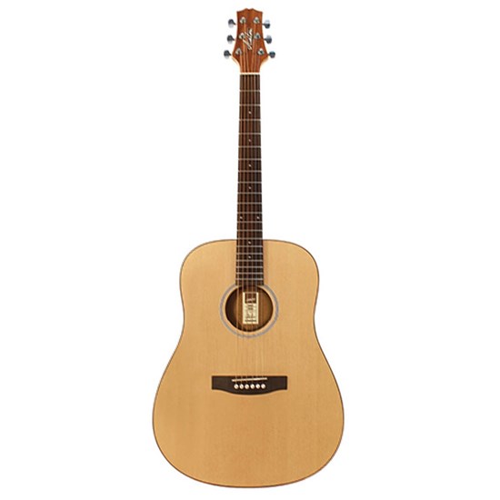 Ashton D20 Acoustic Guitar w/ APWCC Case (Natural Matte)