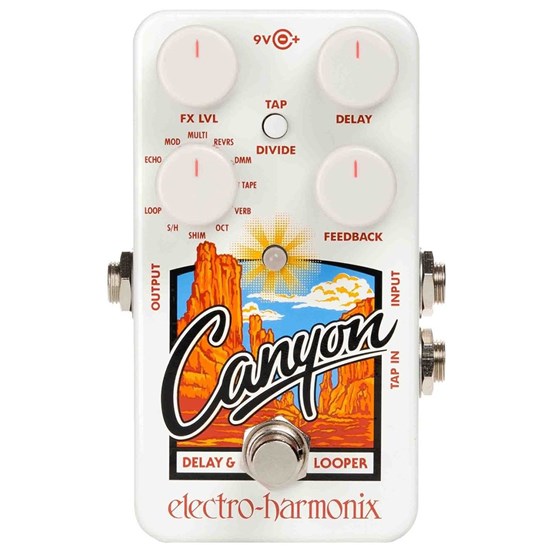 Electro Harmonix Canyon Delay & Looper Pedal