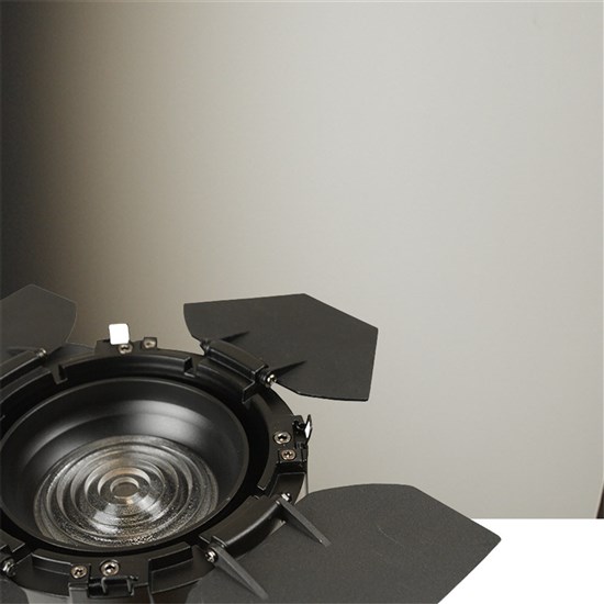 Event Lighting F2X48 Fresnel 2x48W CW and WW LED with Zoom and Barn Doors (Black)