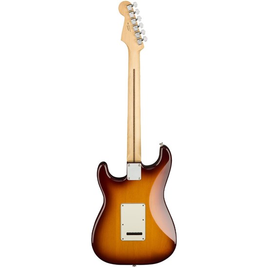 Fender Player Stratocaster Plus Top Pau Ferro Fingerboard (Tobacco Sunburst)