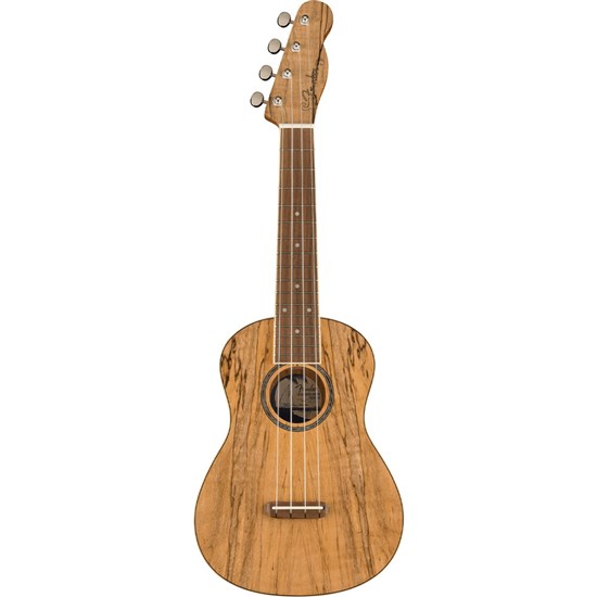 Fender Zuma Exotic Concert Ukulele Walnut Fingerboard (Spalted Maple)