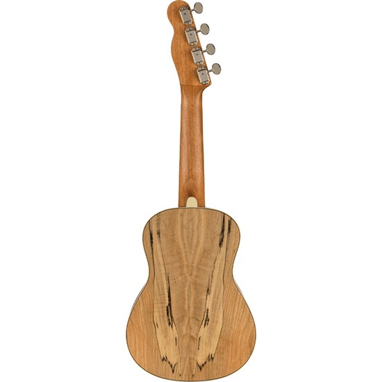 Fender Zuma Exotic Concert Ukulele Walnut Fingerboard (Spalted Maple)