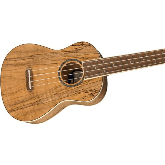 Fender Zuma Exotic Concert Ukulele Walnut Fingerboard (Spalted Maple)