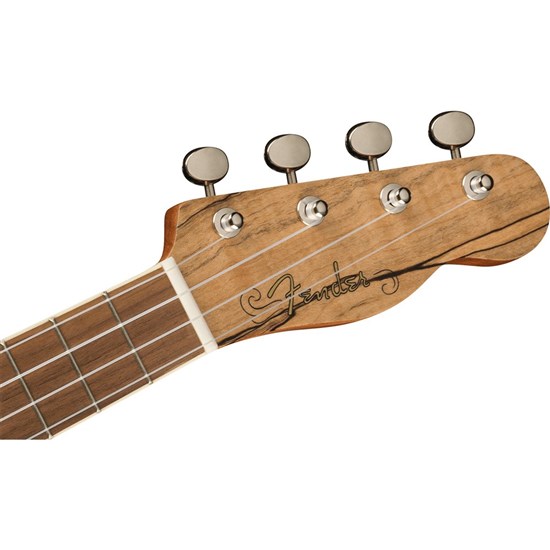 Fender Zuma Exotic Concert Ukulele Walnut Fingerboard (Spalted Maple)