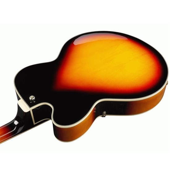 Ibanez AF95 Hollow Body Guitar (Brown Sunburst)