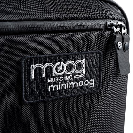 Moog Minimoog Model D SR Case