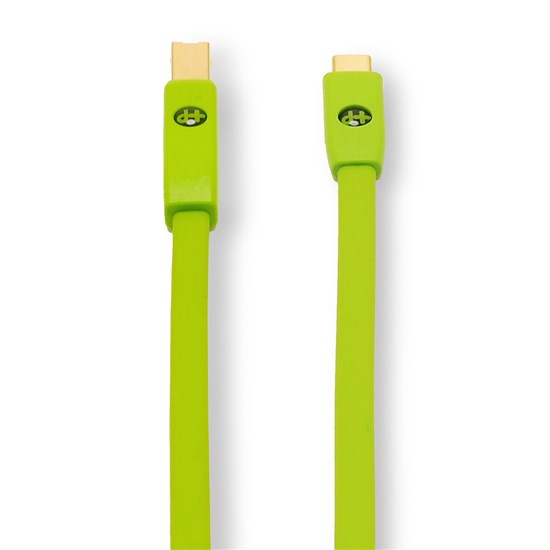 Oyaide Neo D+ USB Type C Class-B Cable (2m)