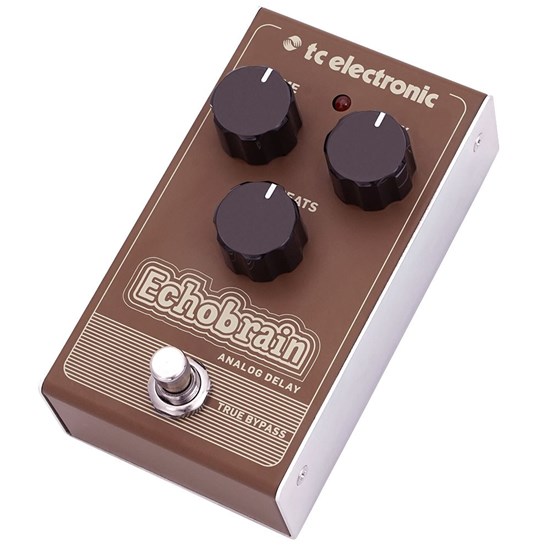 TC Electronic EchoBrain Analog Delay Stompbox